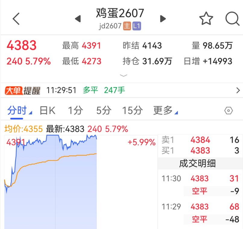 涨停！淡季涨超20％，鸡蛋期价缘何涨势不止